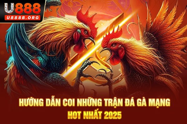 Hướng dẫn coi những trận đá gà mạng hot nhất 2025