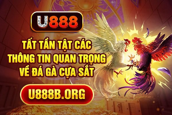 Tất tần tật các thông tin quan trọng về đá gà cựa sắt