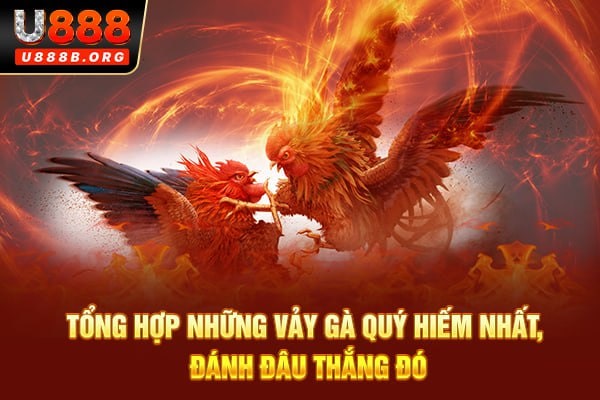 Tổng hợp những vảy gà quý hiếm, đánh đâu thắng đó