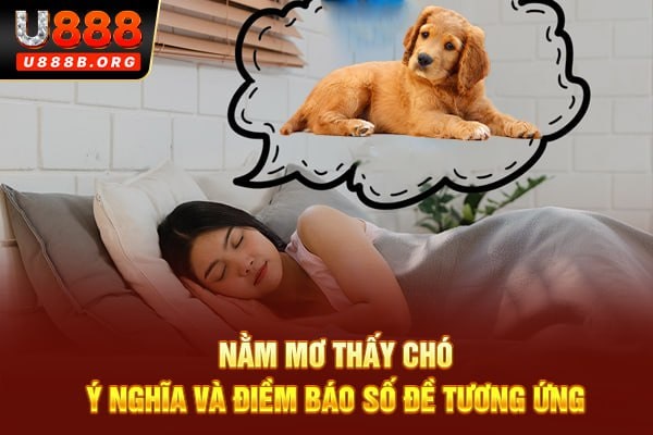 Nằm mơ thấy chó: Ý nghĩa và điềm báo số đề tương ứng