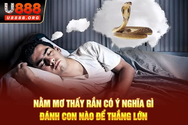 Nằm mơ thấy rắn có ý nghĩa gì, đánh con nào để thắng lớn?