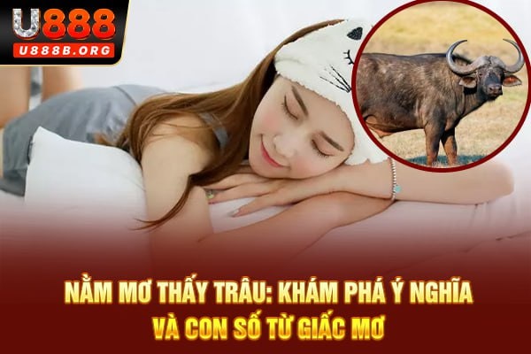 Nằm mơ thấy trâu: Khám phá ý nghĩa và con số từ giấc mơ